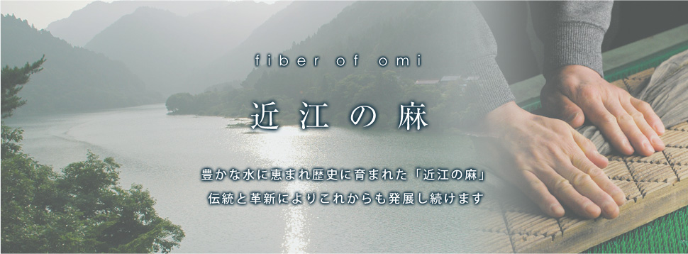 近江の麻