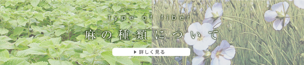 麻の種類