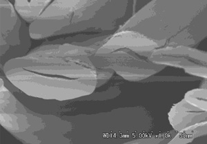 抜群の通気性 と保温性