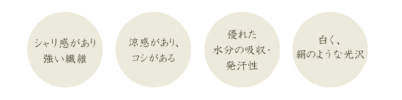 ラミーの特徴